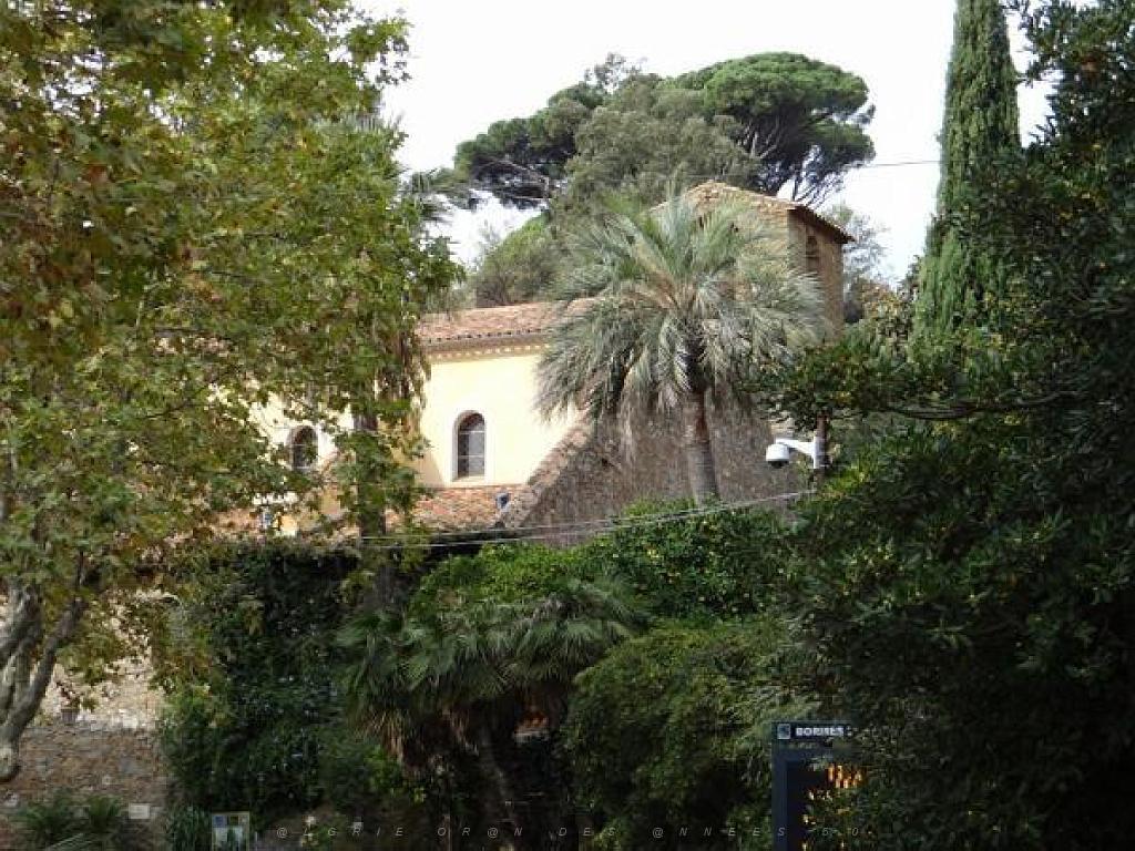 183 D25 BORMES LES MIMOSAS 3_000027.jpg